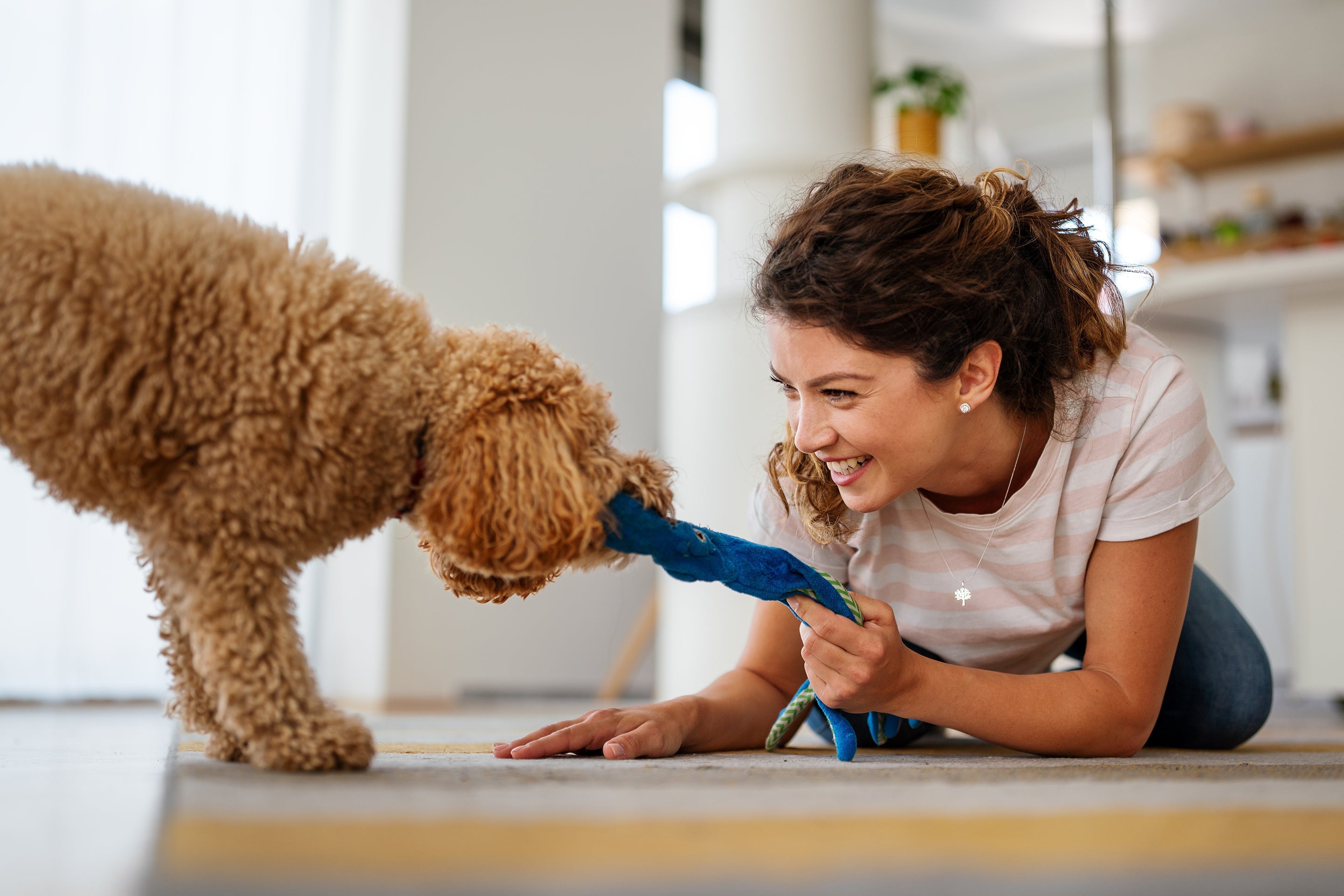 How to Manage Your Pet’s Anxiety: Calming Tips for Stressed Pets