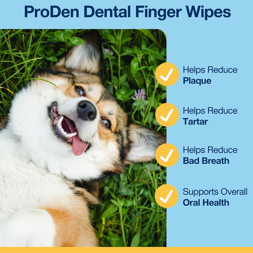 ProDen Dental Finger Wipes (50 Wipes)