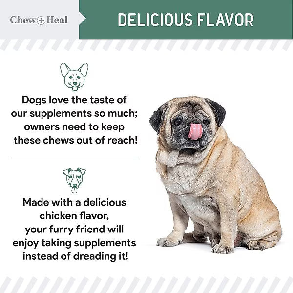 Chew + Heal Senior Hip & Joint Dog Supplement