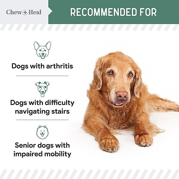 Chew + Heal Senior Hip & Joint Dog Supplement
