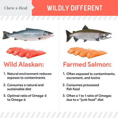 Chew + Heal MSC-Certified Pure Wild-Caught Alaskan Salmon Oil Skin & Coat Supplement for Dogs 8 oz