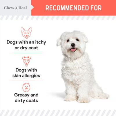 Chew + Heal MSC-Certified Pure Wild-Caught Alaskan Salmon Oil Skin & Coat Supplement for Dogs 8 oz