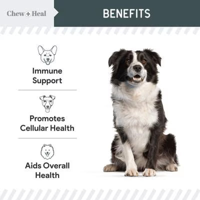 Chew + Heal Immune Support Mushroom Complex Soft Chews Supplement for Dogs, 90 count