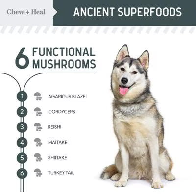 Chew + Heal Immune Support Mushroom Complex Soft Chews Supplement for Dogs, 90 count