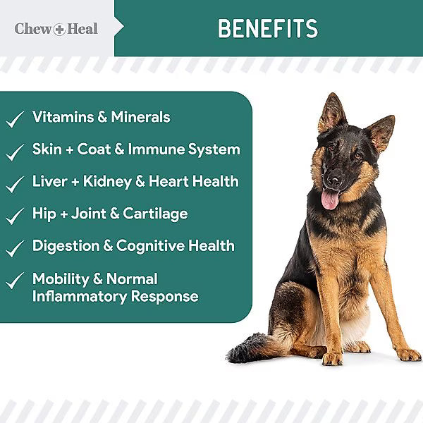 Chew + Heal Essential 12-in-1 Multivitamin Soft Chews for Dogs