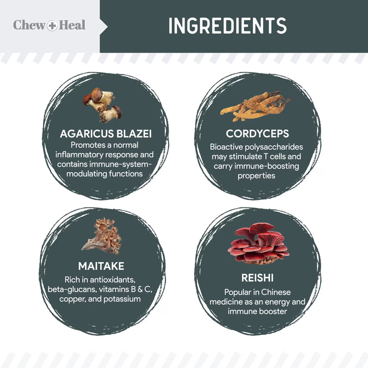 Chew + Heal Immune Support Mushroom Complex Soft Chews Supplement for Dogs, 90 count