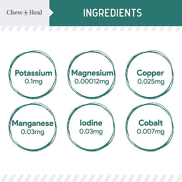 Chew + Heal Essential 12-in-1 Multivitamin Soft Chews for Dogs