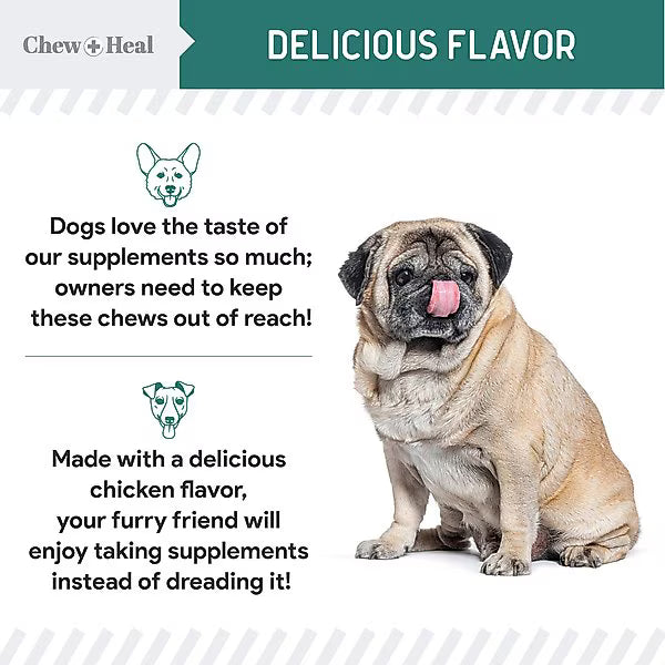 Chew + Heal Essential 12-in-1 Multivitamin Soft Chews for Dogs