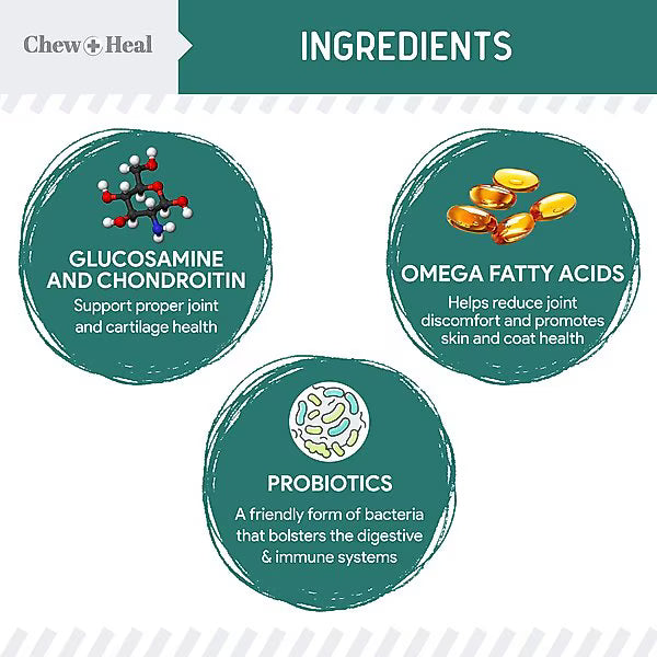 Chew + Heal Essential 12-in-1 Multivitamin Soft Chews for Dogs
