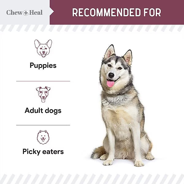 Chew + Heal Senior 12-In-1 Advanced Multivitamin Soft Chews Supplement for Senior Dogs, 120 count