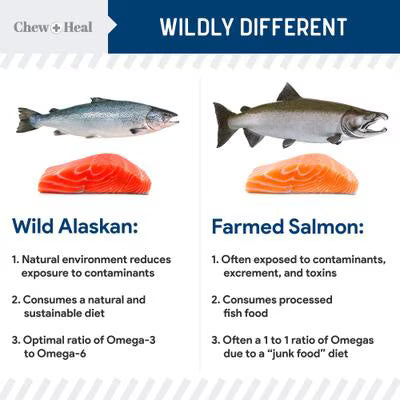 Chew + Heal Limited Ingredient Wild Alaskan Salmon Multivitamin Soft Jerky Dog Treats, 12-oz and 5-oz