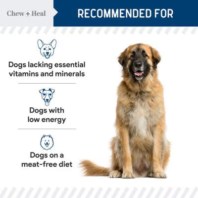 Chew + Heal Limited Ingredient Wild Alaskan Salmon Multivitamin Soft Jerky Dog Treats, 12-oz and 5-oz