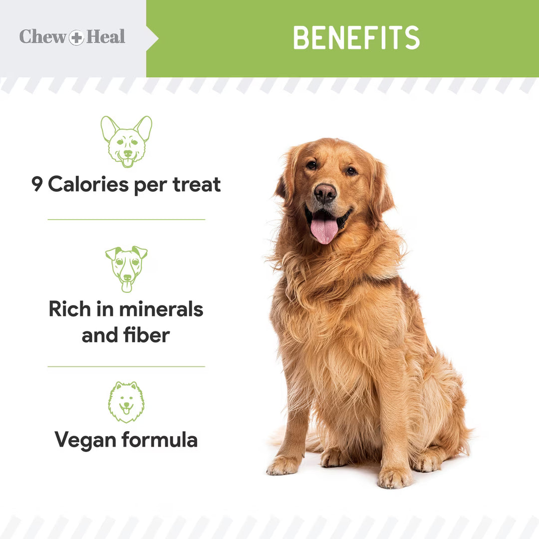 Chew + Heal Limited Ingredient Low Calorie Fruit & Veggie Superfoods Soft Jerky Dog Treats