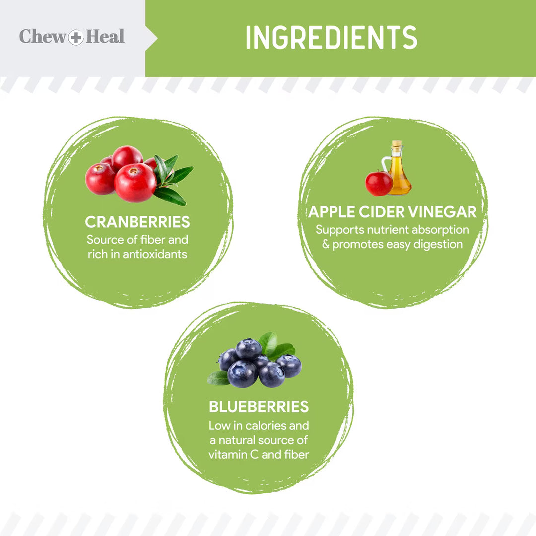 Chew + Heal Limited Ingredient Low Calorie Fruit & Veggie Superfoods Soft Jerky Dog Treats
