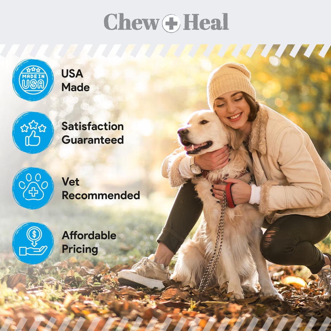 Chew + Heal Advanced Dental Support Powder with 6 Active Ingredients Dental Supplement for Dogs