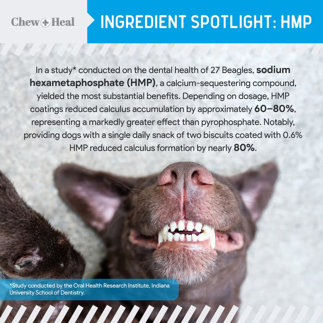 Chew + Heal Advanced Dental Support Powder with 6 Active Ingredients Dental Supplement for Dogs