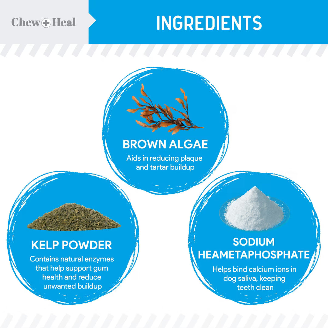 Chew + Heal Advanced Dental Support Powder with 6 Active Ingredients Dental Supplement for Dogs