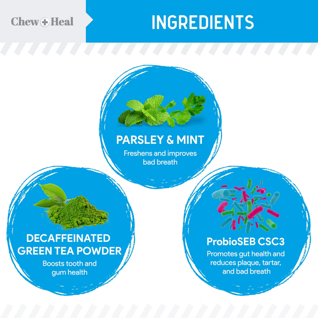 Chew + Heal Advanced Dental Support Powder with 6 Active Ingredients Dental Supplement for Dogs