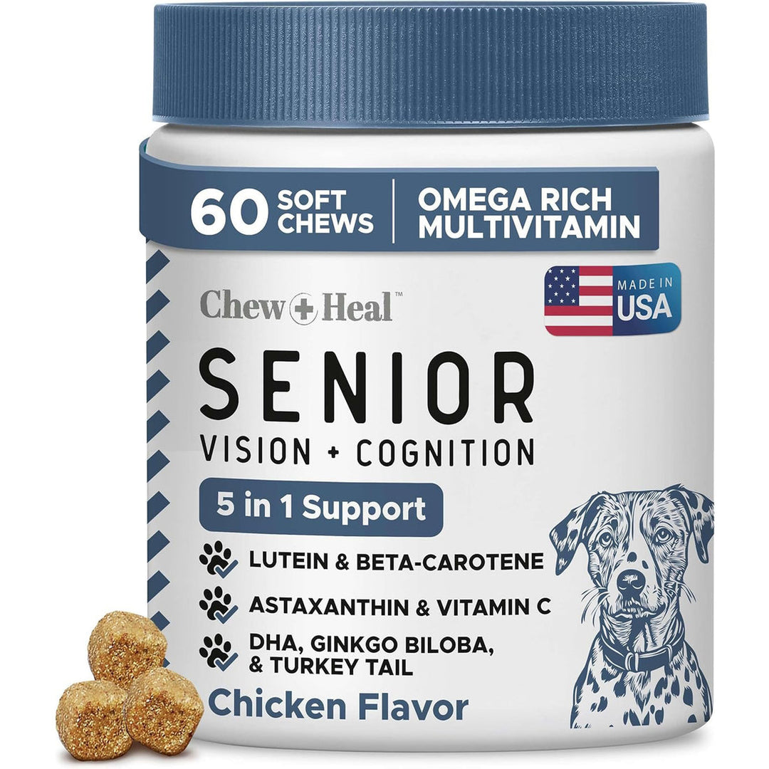 Senior Vision and Cognition