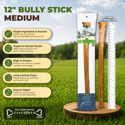 12" Bully Stick Medium