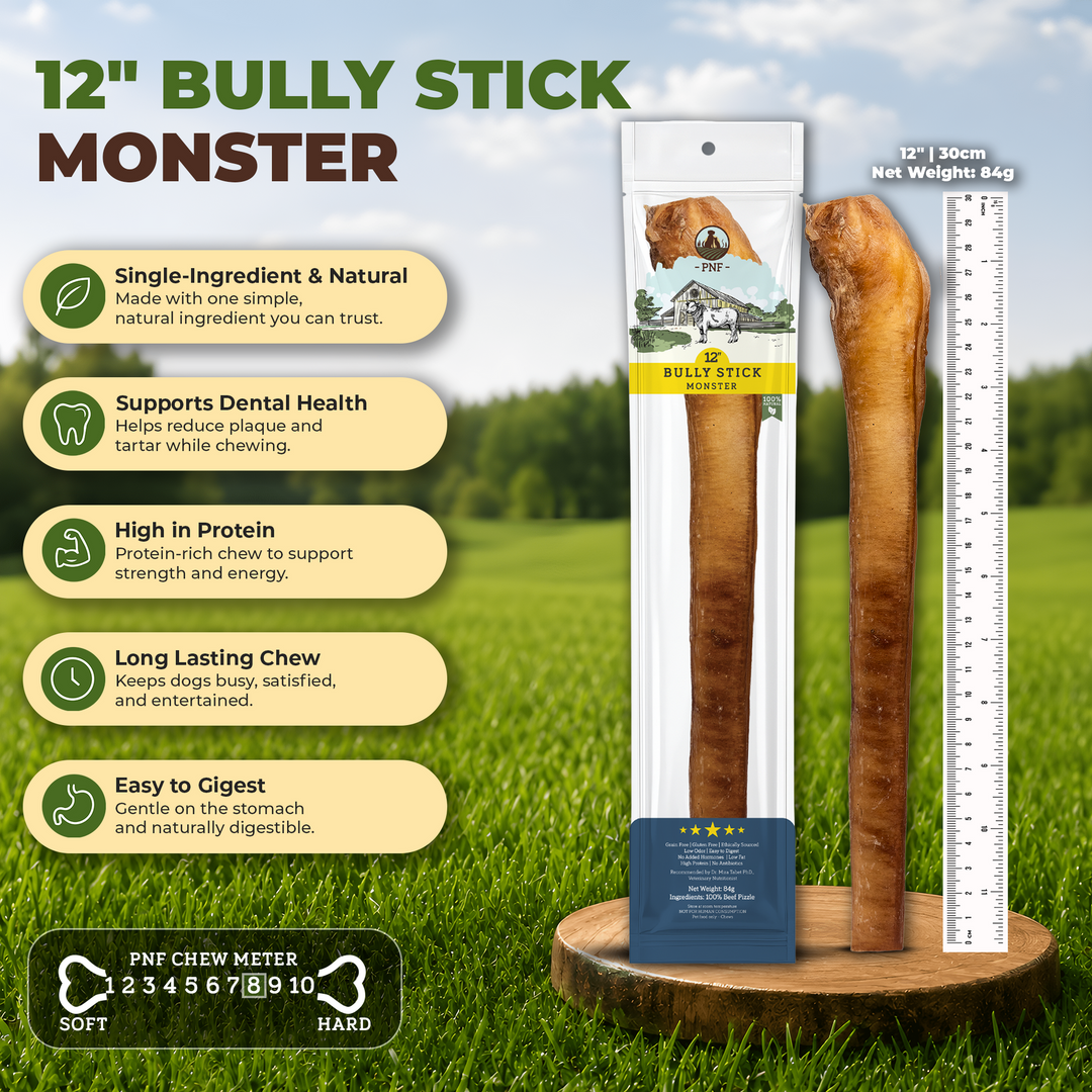 12" Bully Stick Monster