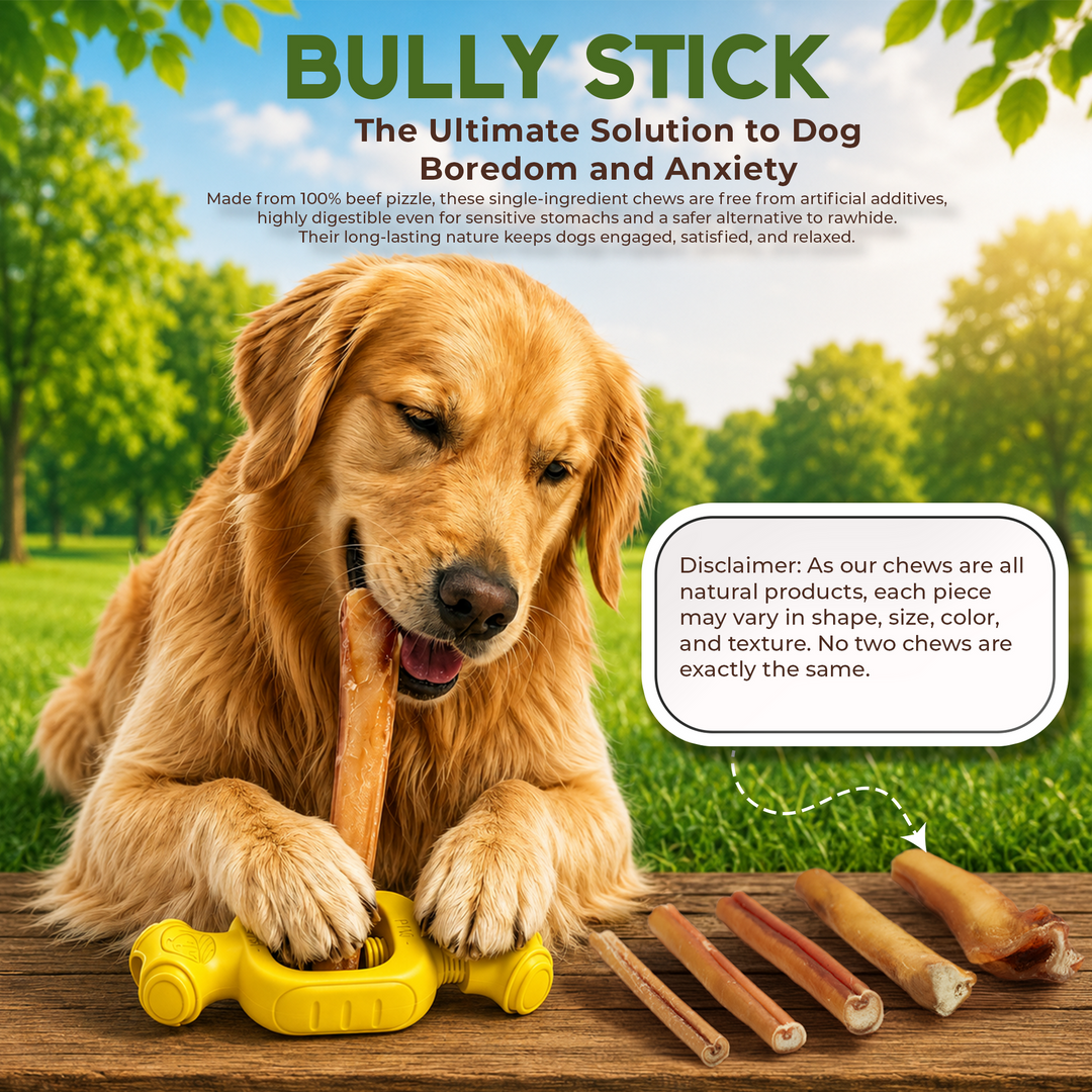 12" Bully Stick Monster