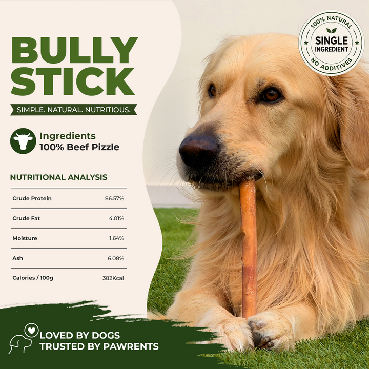 12" Bully Stick Monster