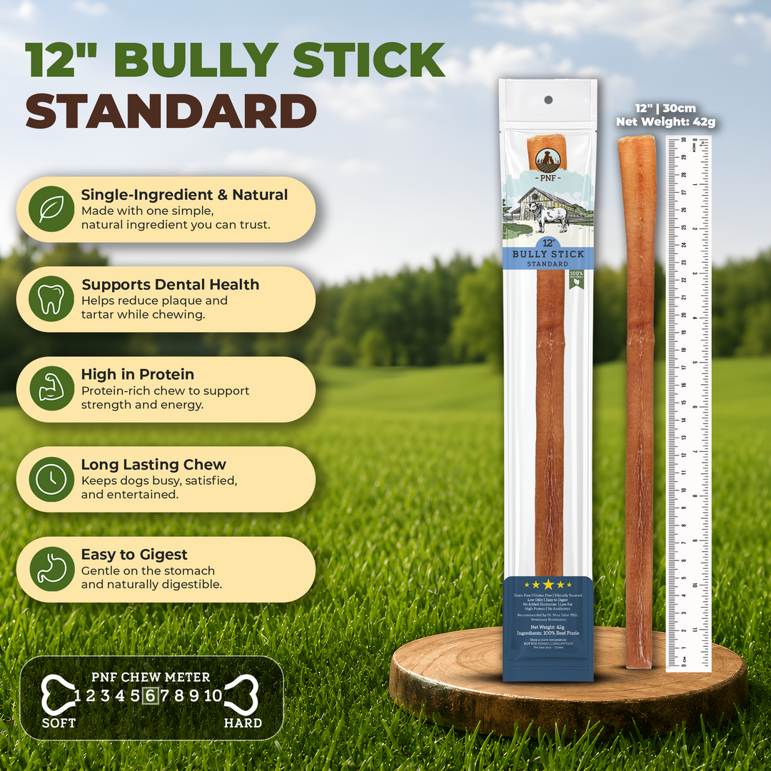 12" Bully Stick Standard