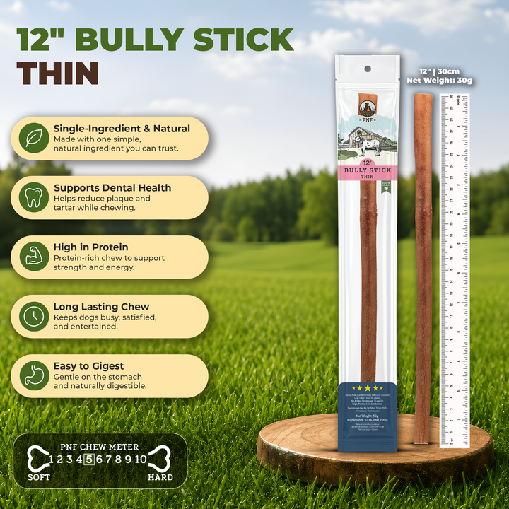 12" Bully Stick Thin
