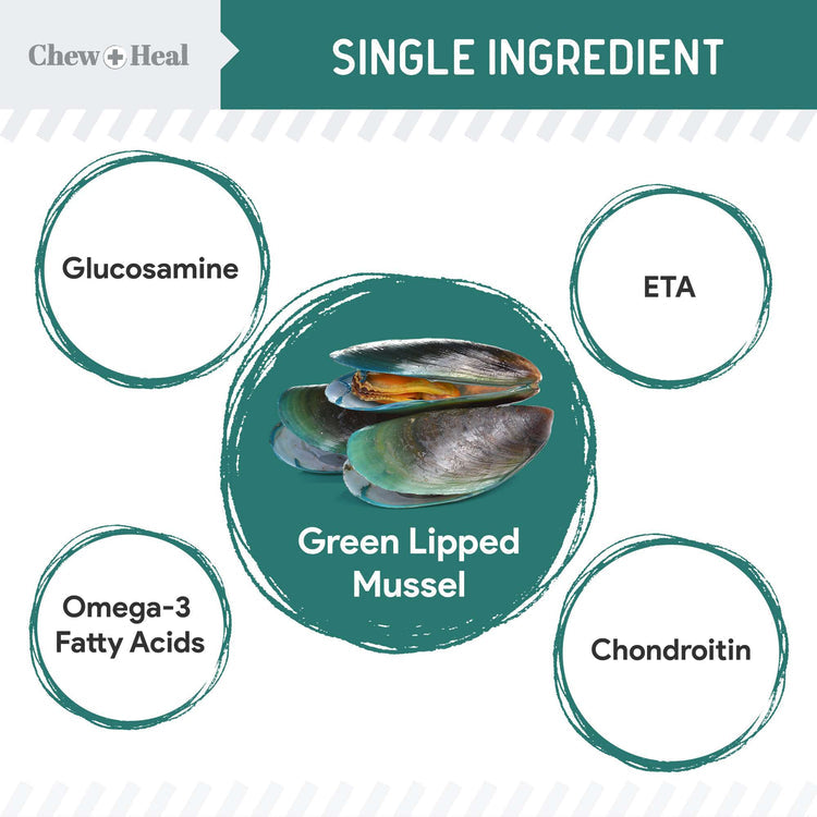 Green Lipped Mussel Powder Joint & Ligament Health Supplement for Dogs & Cats (2.12 oz)