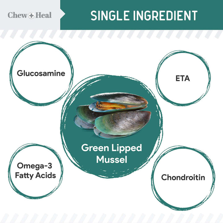 Green Lipped Mussel Powder Joint & Ligament Health Supplement for Dogs & Cats (2.12 oz)
