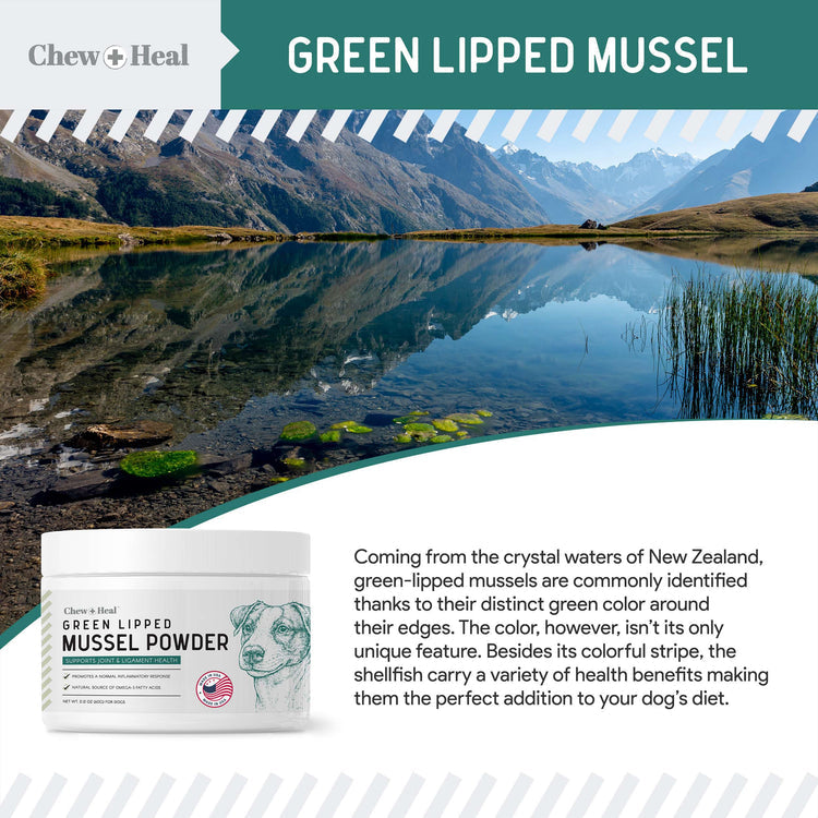 Green Lipped Mussel Powder Joint & Ligament Health Supplement for Dogs & Cats (2.12 oz)