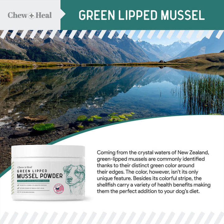 Green Lipped Mussel Powder Joint & Ligament Health Supplement for Dogs & Cats (2.12 oz)