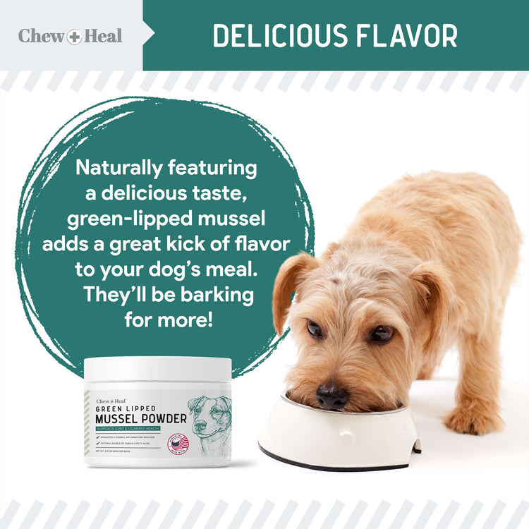 Green Lipped Mussel Powder Joint & Ligament Health Supplement for Dogs & Cats (2.12 oz)