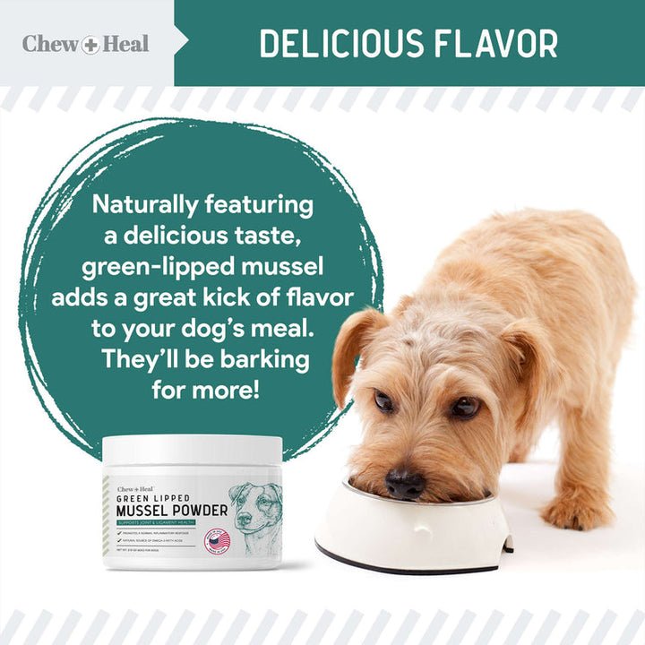 Green Lipped Mussel Powder Joint & Ligament Health Supplement for Dogs & Cats (2.12 oz)