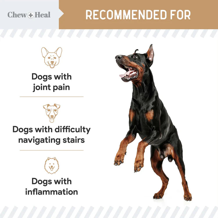 Chew + Heal Glucosamine Hip + Joint Peanut Butter Flavored Soft Chew Joint Supplement for Dogs, 90 count