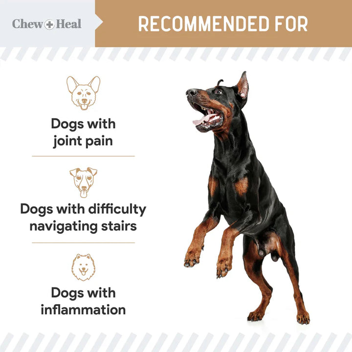 Chew + Heal Glucosamine Hip + Joint Peanut Butter Flavored Soft Chew Joint Supplement for Dogs, 90 count