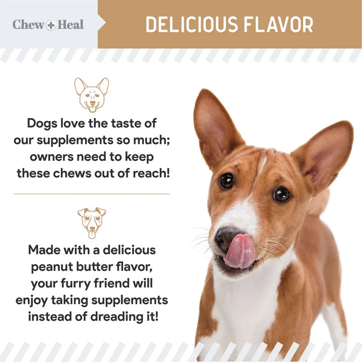 Chew + Heal Glucosamine Hip + Joint Peanut Butter Flavored Soft Chew Joint Supplement for Dogs, 90 count