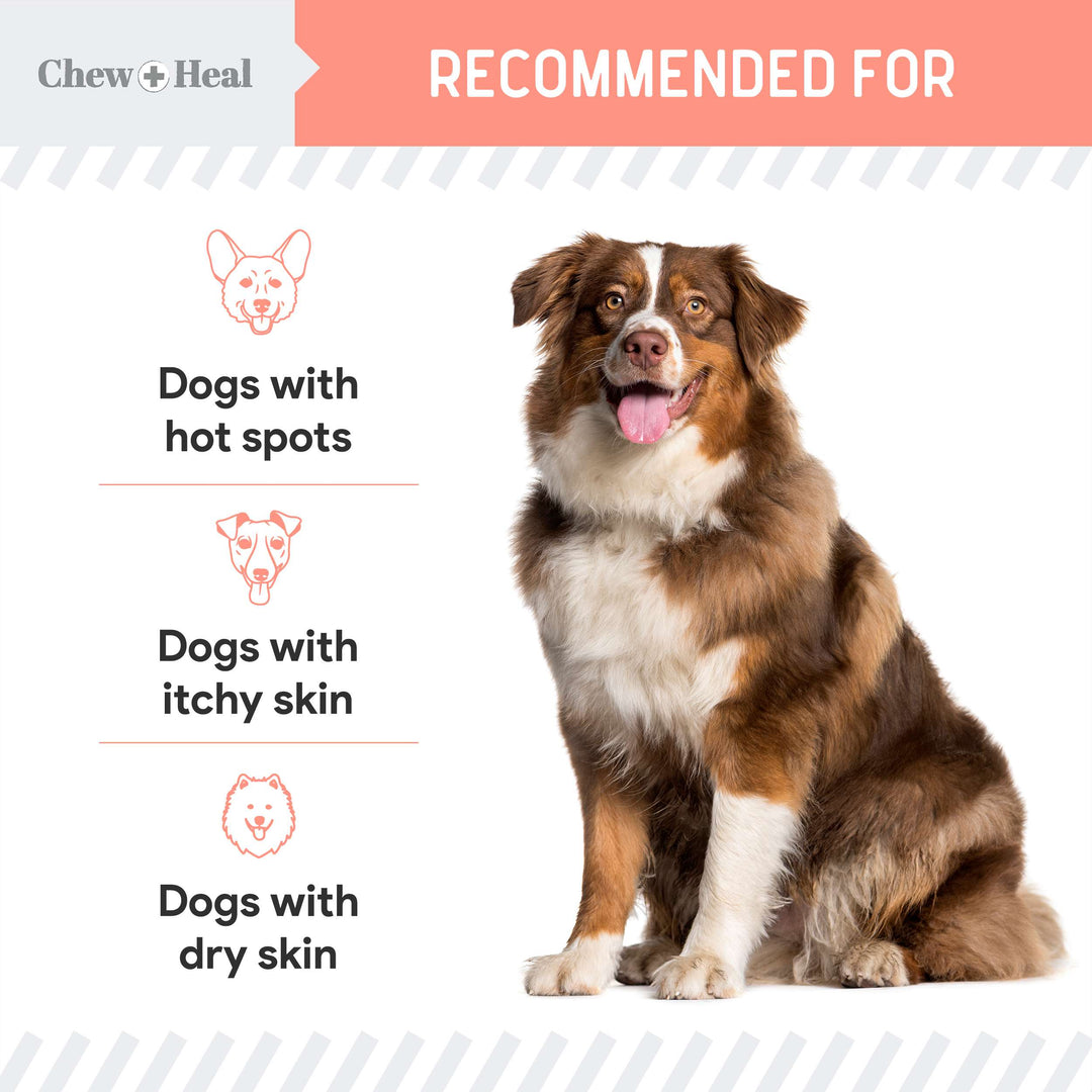 Chew + Heal Natural Hot Spot Relief Topical Liquid for Dogs, 2-fl oz bottle