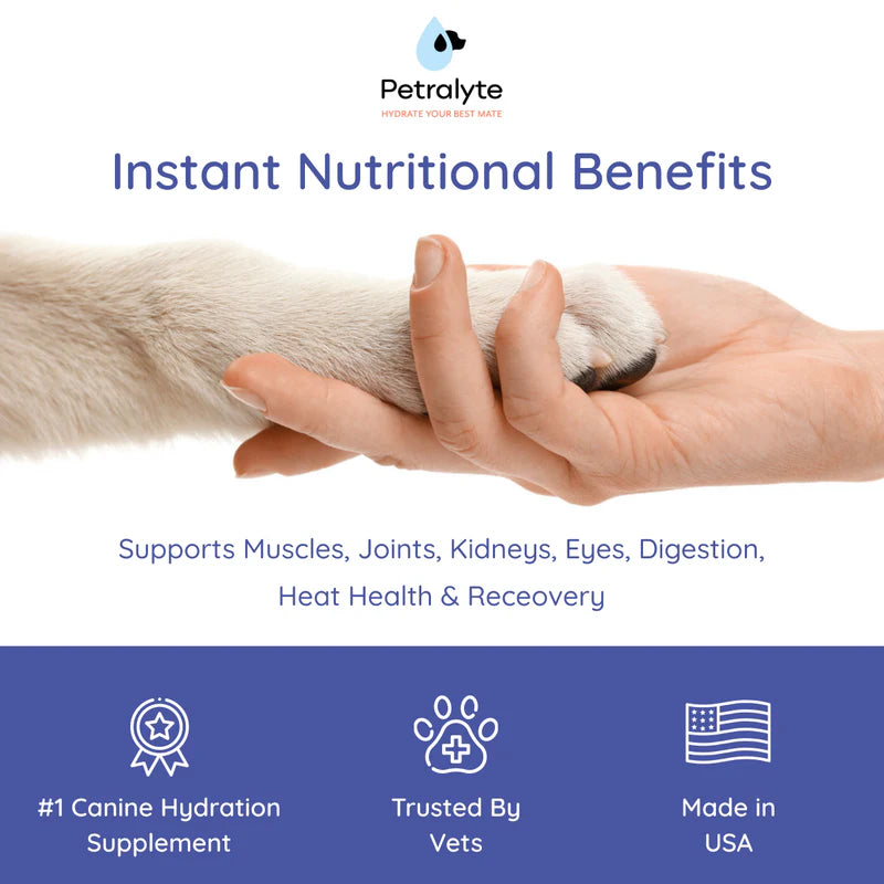 Dog Electrolyte and Joint Supplement , Beef flavored