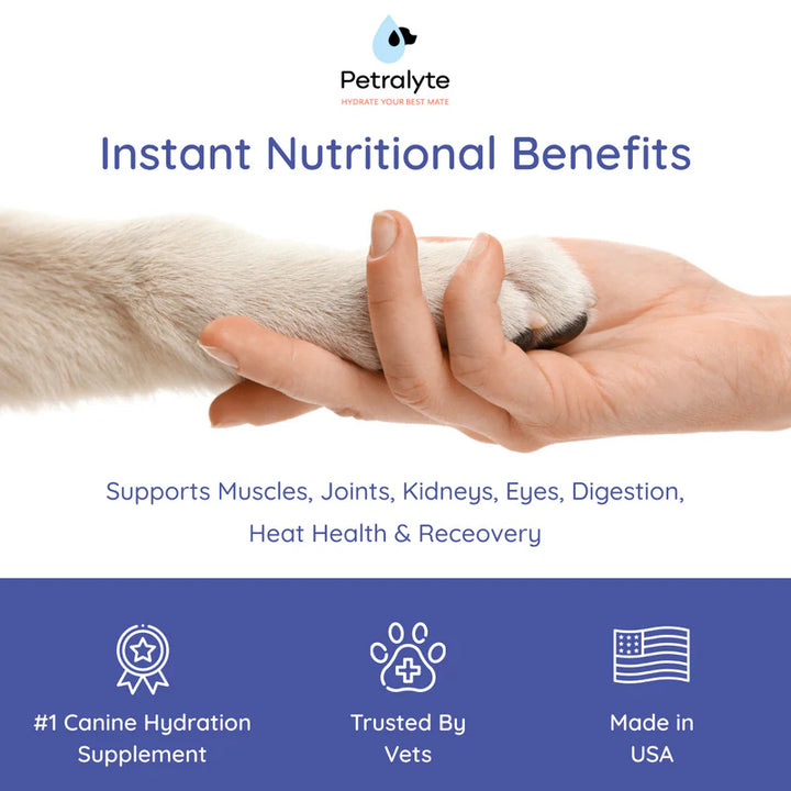 Dog Electrolyte and Joint Supplement , Beef flavored