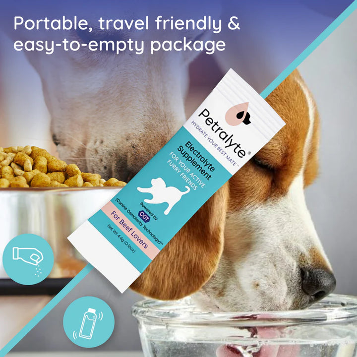 Dog Electrolyte and Joint Supplement , Beef flavored