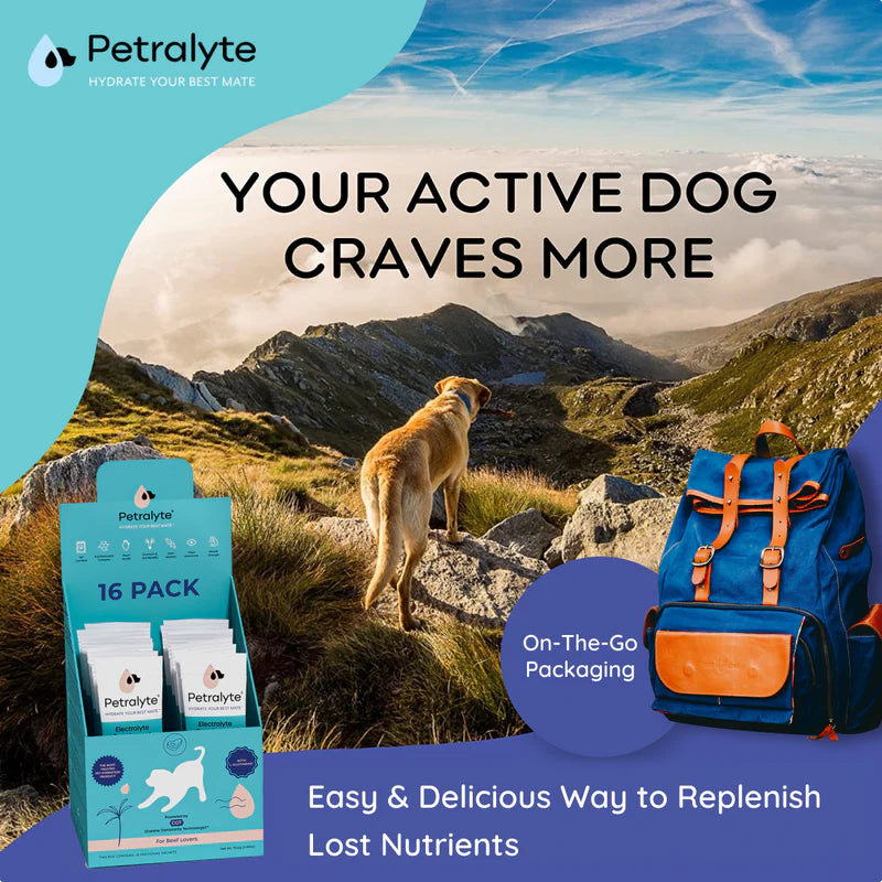 Dog Electrolyte and Joint Supplement , Beef flavored