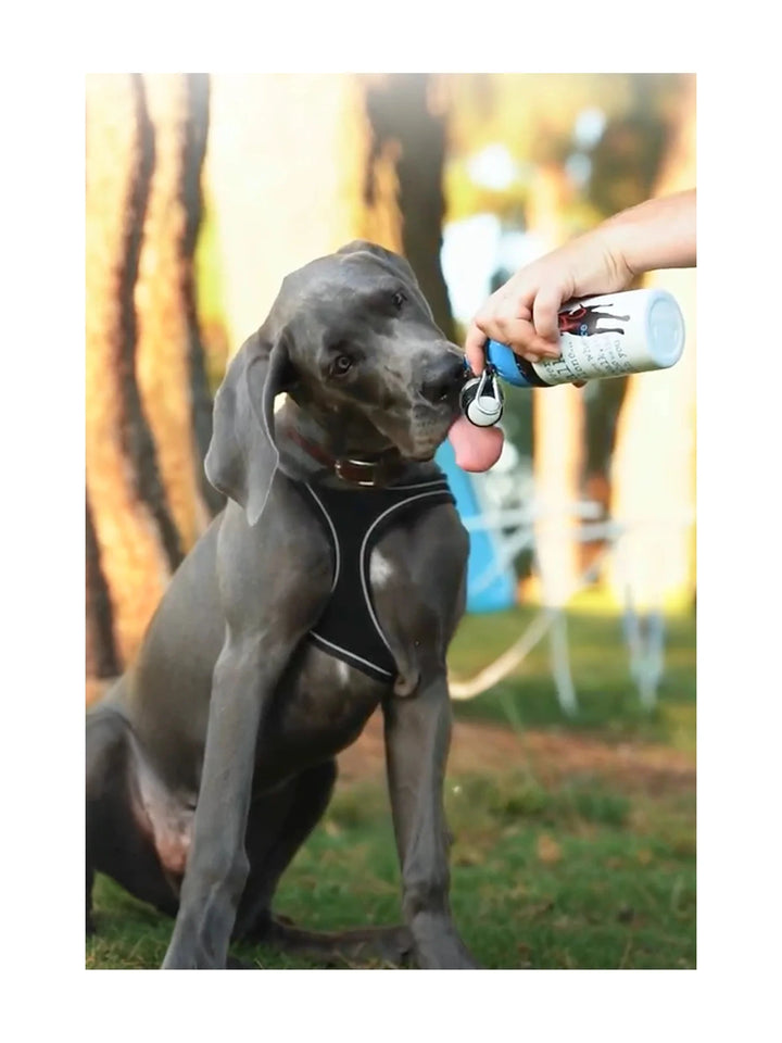 Dog Water Bottle: Never Walk Alone (Limited Time Offer)