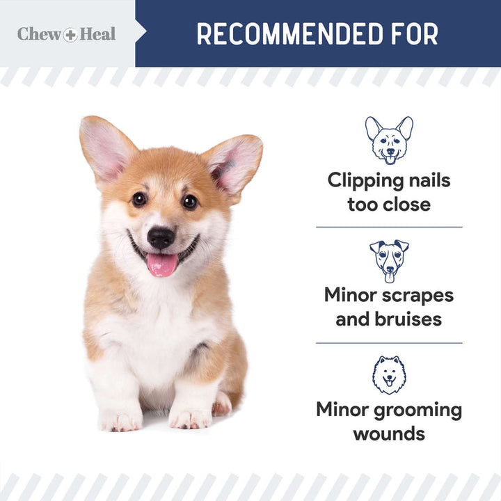Styptic Powder Dog Treatment