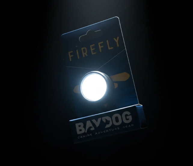 Firefly LED Dog Safety Light - Clip-On Night Visibility Light