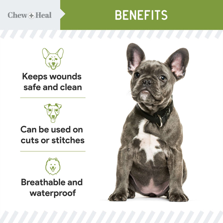 Liquid Bandage for Dogs 8oz