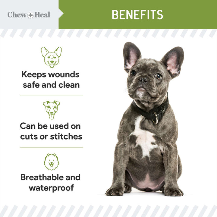 Liquid Bandage for Dogs 8oz