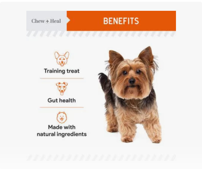 Chew + Heal Pumpkin & Prebiotic Fiber Crunchy Biscuit Dog Treats, 24-oz bag