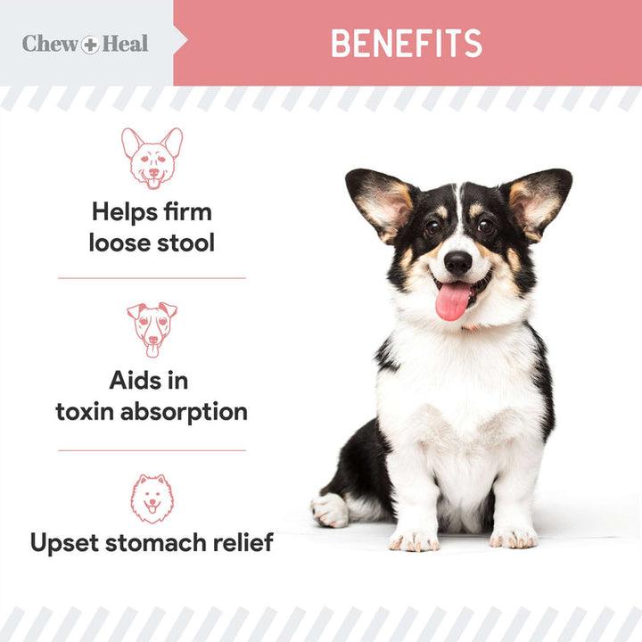 Stop The Diarrhea Liquid Digestive Aid for Dogs 12oz
